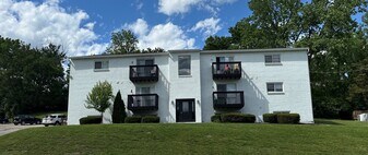 1000 Valley View Ln in Loveland, OH - Building Photo