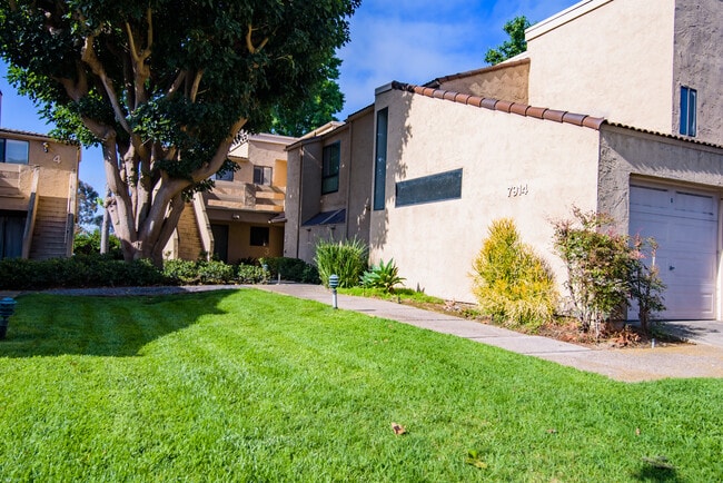 property at 7914 Caminito Dia