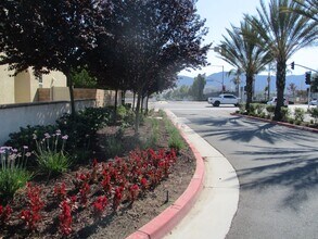 41964 Rondo St in Murrieta, CA - Building Photo - Building Photo