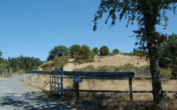 14501 Armstrong Woods Rd in Guerneville, CA - Building Photo - Building Photo