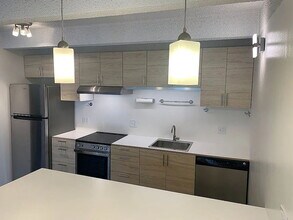 1265 Race St in Denver, CO - Building Photo - Building Photo