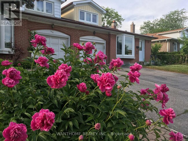 148 Old Sheppard Ave