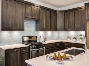 5600 William Holland Ave in Austin, TX - Building Photo - Building Photo