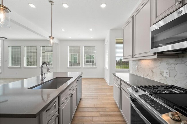 21254 Black Gap Wildlife Dr in Cypress, TX - Building Photo - Building Photo
