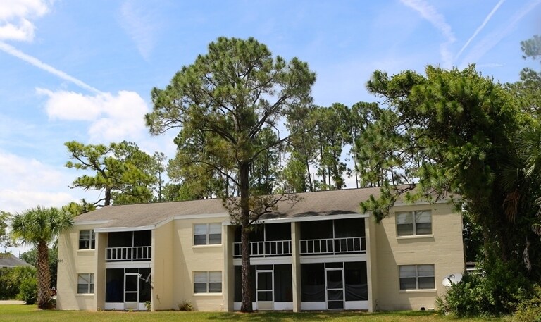 290 Flower Ln in Kissimmee, FL - Building Photo