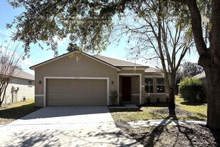15450 Osprey Glen Dr in Fish Hawk, FL - Building Photo