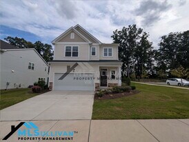 4020 Whitney Peak Dr in Raleigh, NC - Building Photo