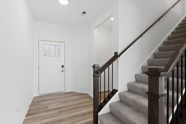 247 Cooney Wy in Oswego, IL - Building Photo - Building Photo