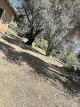 29012 Oak Ln in Pine Valley, CA - Building Photo - Building Photo