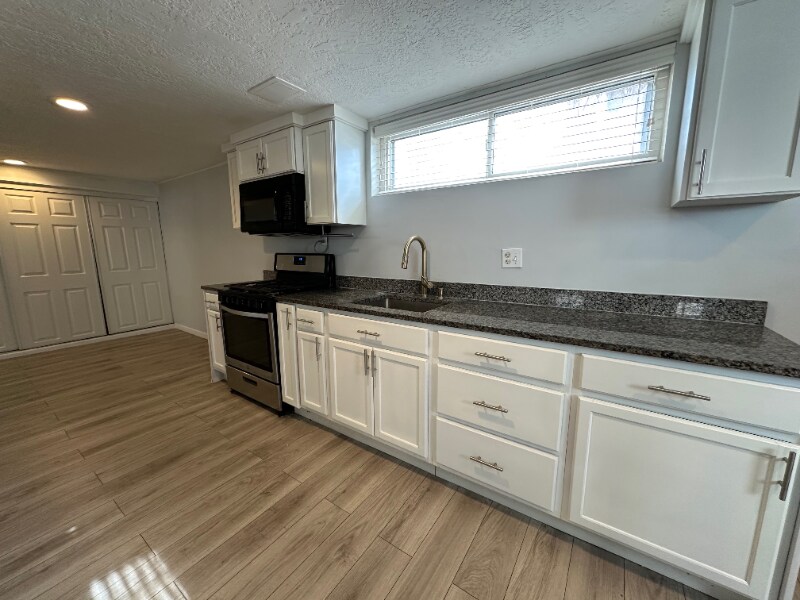 165 N 400 E-Unit -Basement in Springville, UT - Building Photo