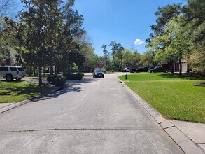 19 Opaline Pl in Spring, TX - Building Photo - Building Photo
