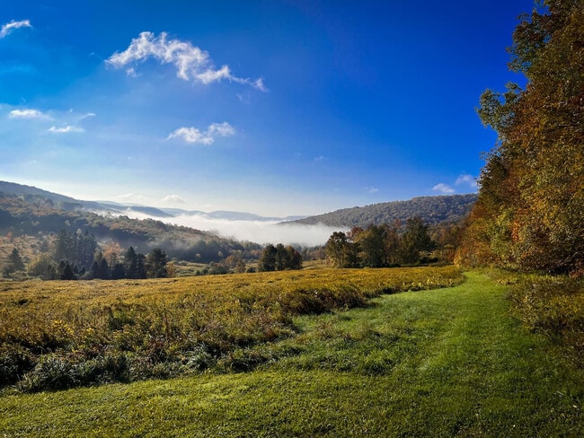 2697 Chambers Hollow Rd, Unit SI ID1492981P in Walton, NY - Foto de edificio - Building Photo