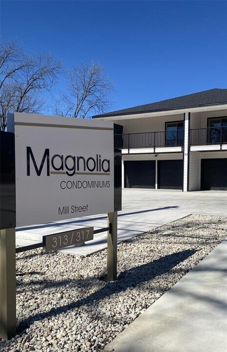 313 Mill St in San Marcos, TX - Building Photo