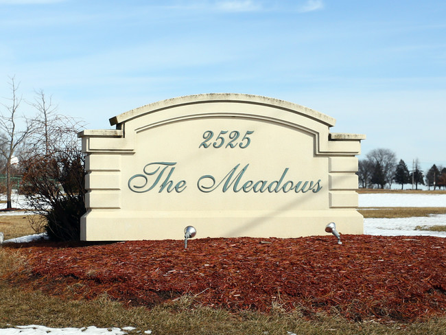 The Meadows in Des Moines, IA - Building Photo - Building Photo