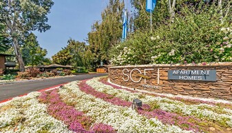 Sofi Fremont Apartments