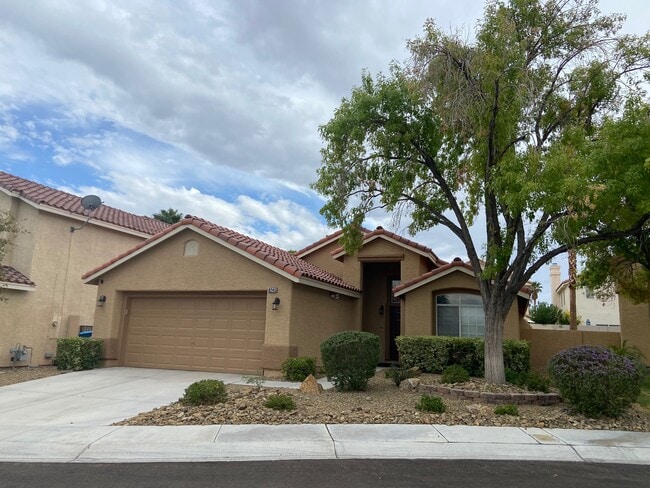 8245 Ruby Mountain Way
