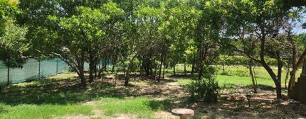 299 Willow Springs Dr in Pipe Creek, TX - Building Photo - Building Photo