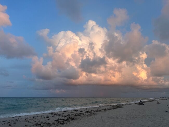 6365 Collins Ave, Unit 1909 in Miami Beach, FL - Foto de edificio - Building Photo