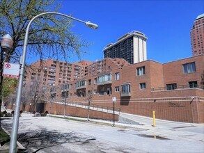 801 S Plymouth Ct in Chicago, IL - Building Photo - Building Photo