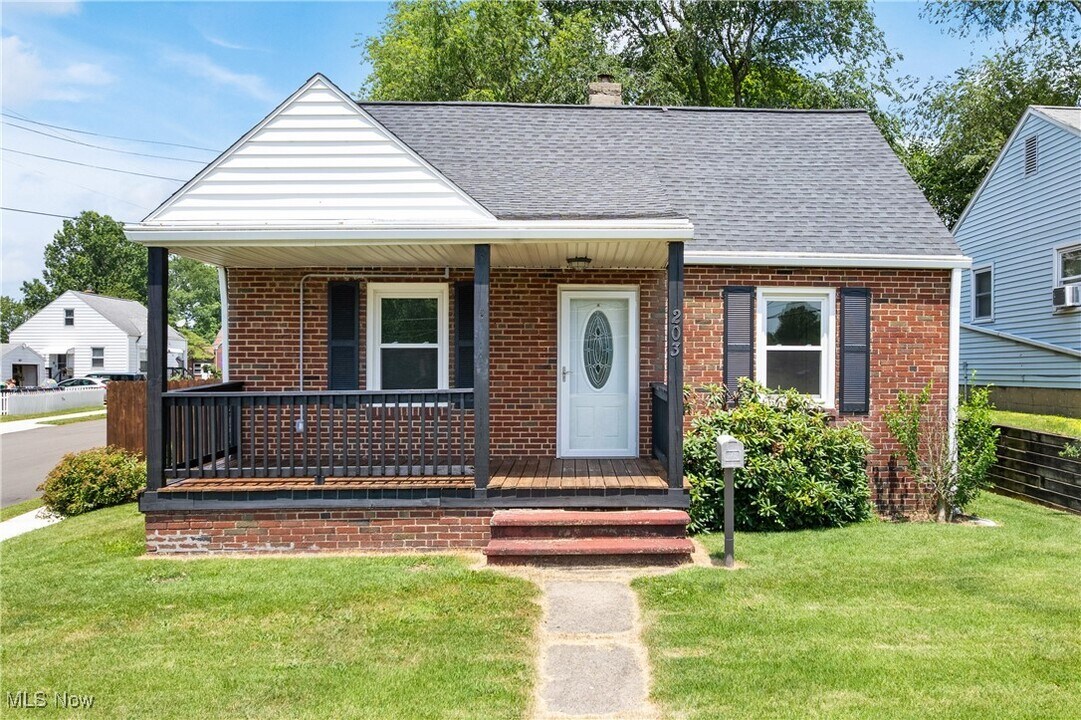 203 Robinson Ave in Barberton, OH - Building Photo