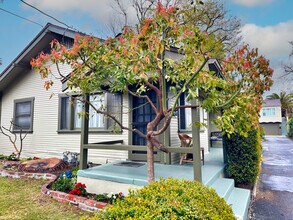 244 N Wilson Ave in Pasadena, CA - Building Photo - Building Photo