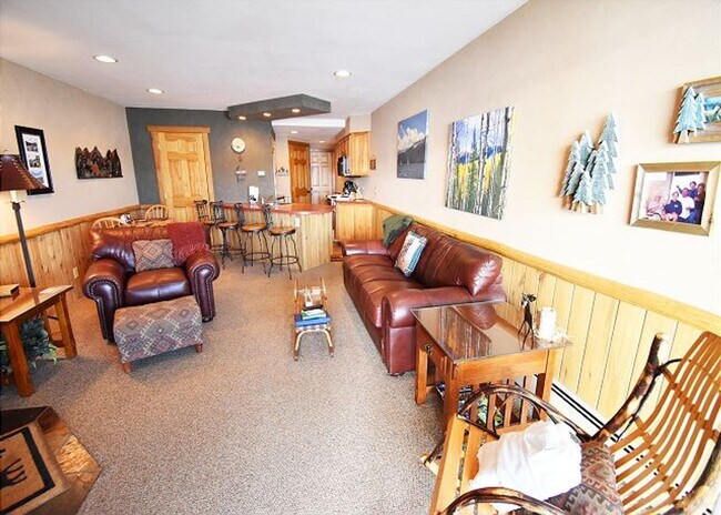 401 W La Bonte St in Dillon, CO - Building Photo - Building Photo