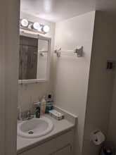 4214 La Palma Ct in Tampa, FL - Building Photo - Building Photo