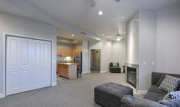 446 N Campbell Ave in Tucson, AZ - Building Photo - Building Photo