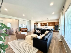 11181 Sweet Cicely Dr in Parker, CO - Building Photo - Building Photo