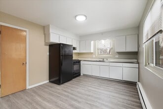 337 Custer Ave in Evanston, IL - Building Photo - Building Photo