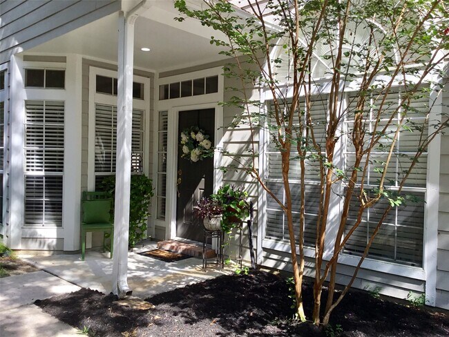 3 N Spiral Vine Cir in Spring, TX - Building Photo - Building Photo