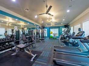 Park at Armand Bayou in Houston, TX - Foto de edificio - Building Photo