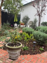 425 N Arden Blvd, Unit Garden guest house in Los Angeles, CA - Foto de edificio - Building Photo