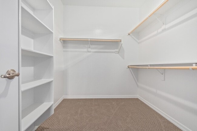 8421 W Atlantis Wy in Tolleson, AZ - Building Photo - Building Photo