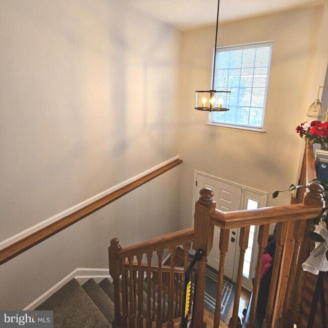 8502 Hallie Rose Pl in Alexandria, VA - Building Photo - Building Photo