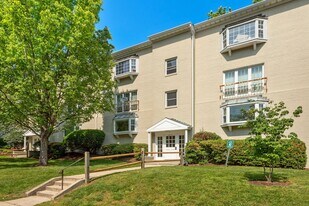2919 Willston Pl in Falls Church, VA - Building Photo