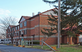 Walnut Court in Cincinnati, OH - Building Photo - Building Photo