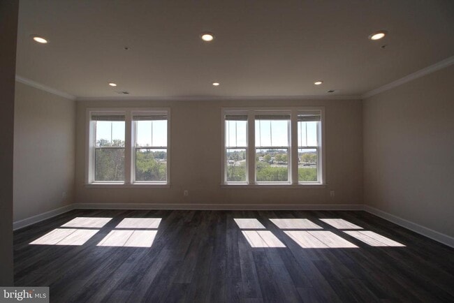 property at 43355 Radford Divide Ter