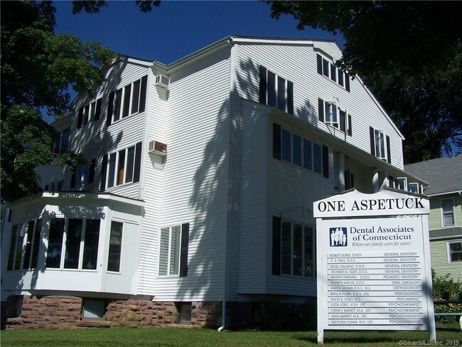 1 Aspetuck Ave-Unit -C in New Milford, CT - Building Photo - Building Photo