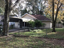 1007 Palmer St in Green Cove Springs, FL - Building Photo