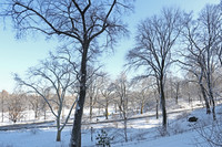 The Park Royal in New York, NY - Foto de edificio - Building Photo