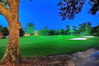 70 N Skyflower Ct in The Woodlands, TX - Building Photo - Building Photo