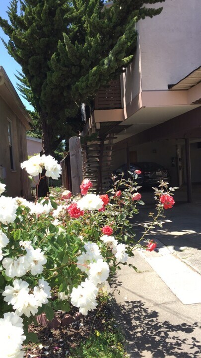 928 Adams St, Unit # 3 in Albany, CA - Building Photo