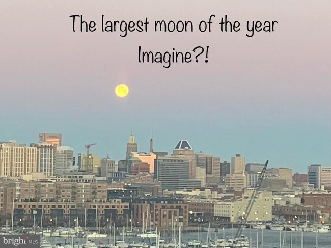 2702 Lighthouse Point E-Unit -720 in Baltimore, MD - Building Photo - Building Photo