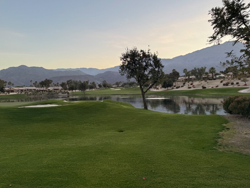 81603 Desert Willow Dr in La Quinta, CA - Building Photo