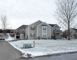 3821-3835 Indian Run Dr in Canfield, OH - Building Photo