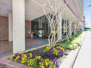 2555 Pennsylvania Ave NW, Unit 406 in Washington, DC - Building Photo - Building Photo