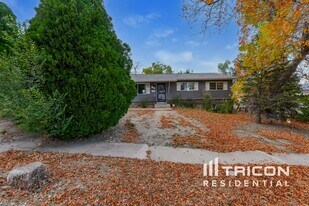 1312 Rainier Dr in Colorado Springs, CO - Building Photo