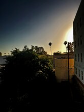 1523 N McCadden Pl in Los Angeles, CA - Building Photo - Building Photo
