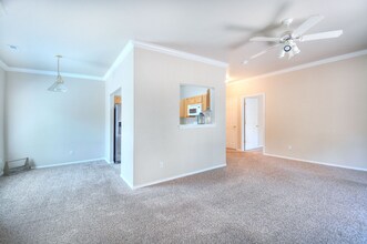 3020 Mandalay Grove in Colorado Springs, CO - Building Photo - Building Photo